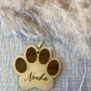 Patte de chat