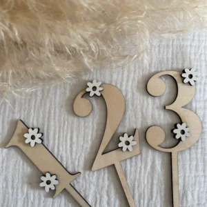 cake topper marguerite daisy chiffre